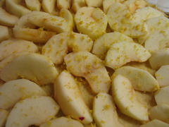 rivet skal av citron