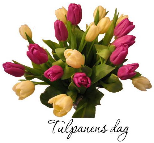 tulpanens dag