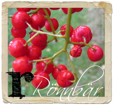 rönnbär