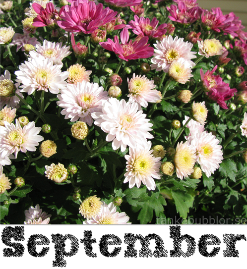 september